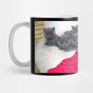 the blue cats gangs Mug